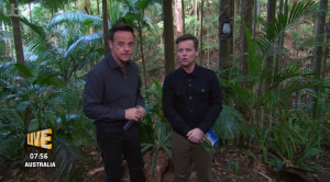 I'm A Celebrity - Ant and Dec
