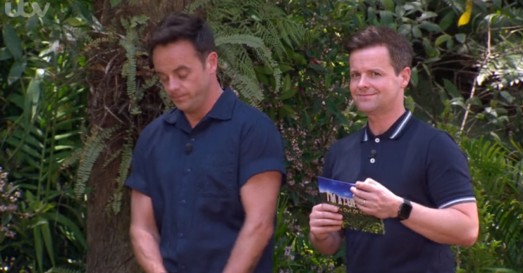 Ant McPartlin and Dec Donnelly