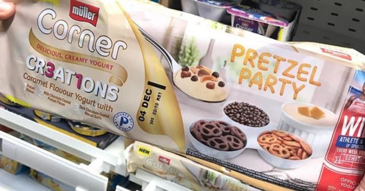 Pretzel yogurts