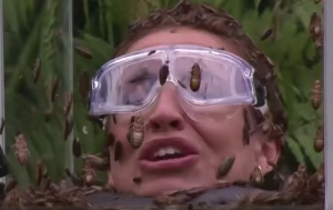 I'm A Celebrity