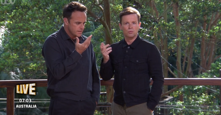 Ant and Dec on I'm A Celebrity