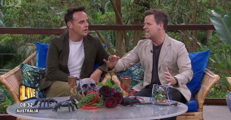 Ant and Dec on Extra Camp