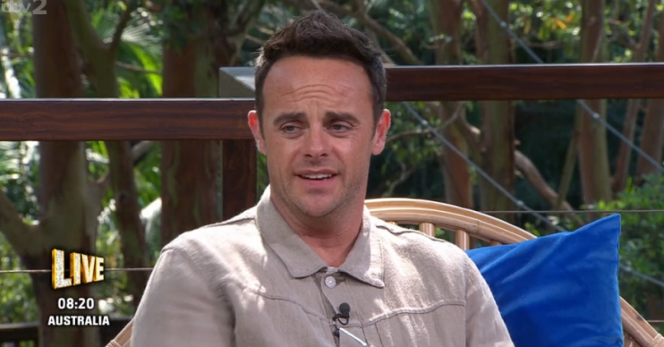 Ant McPartlin on Extra Camp