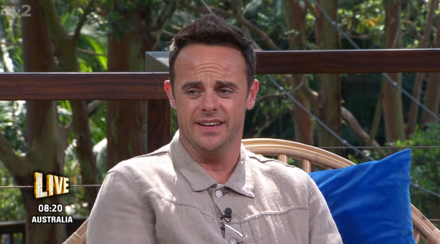 Ant McPartlin on Extra Camp