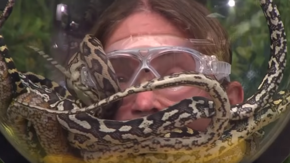 Caitlyn Jenner on I'm A Celebrity