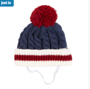 Dog hat