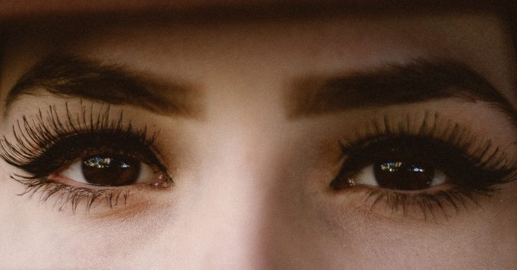 eyelash extension lice