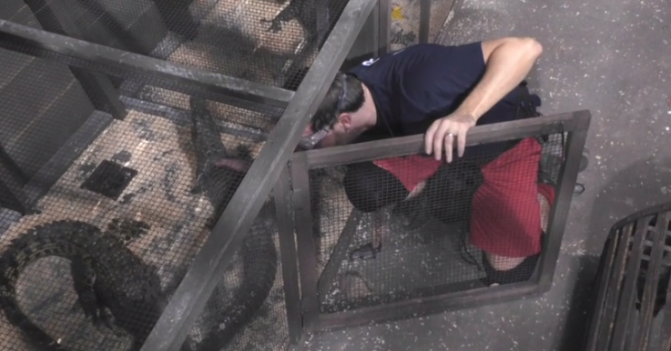Andrew Maxwell doing I'm A Celebrity trial