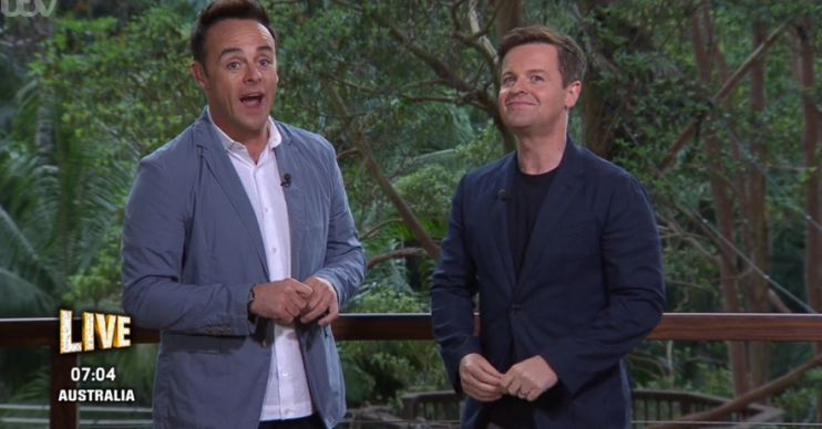 Ant and Dec on I'm A Celebrity