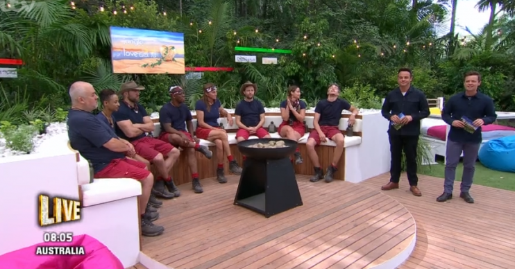 I'm A Celebrity live trial