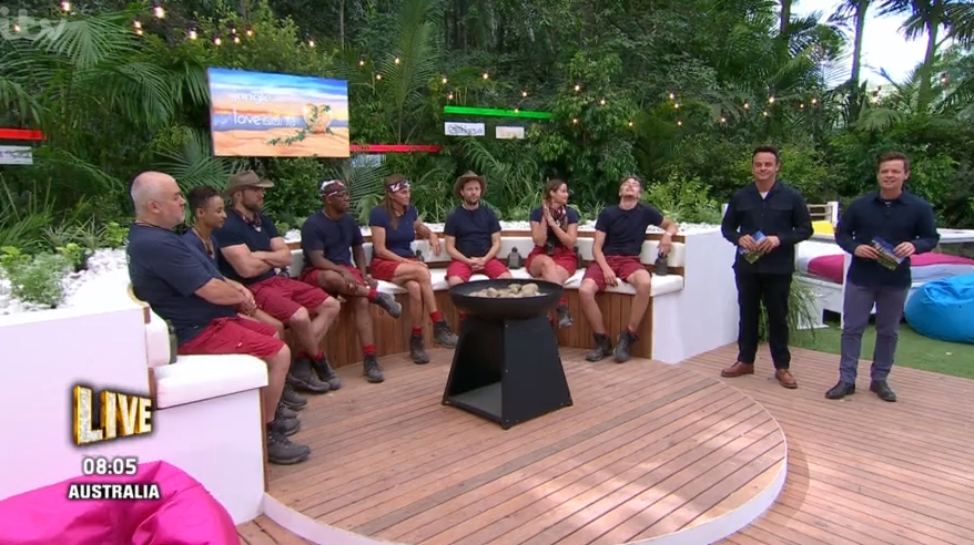 I'm A Celebrity live trial