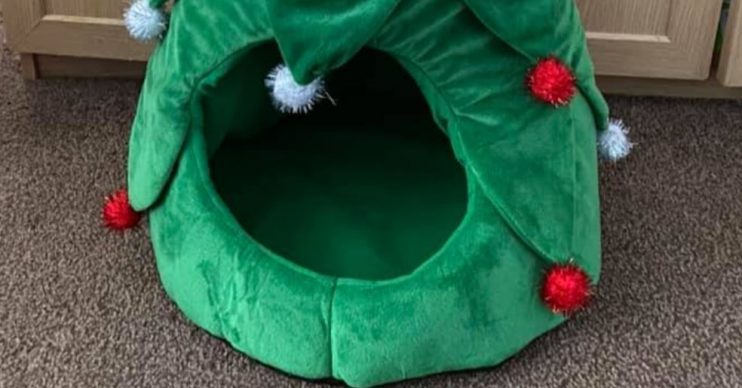 Christmas tree pet bed - Home Bargains