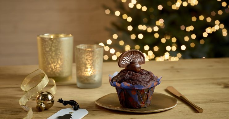 costa muffin