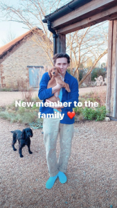The Beckhams' new dog