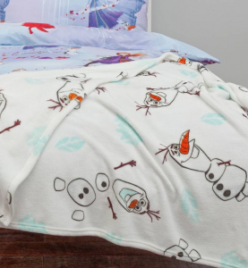 Frozen 2 blanket