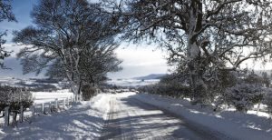Snow