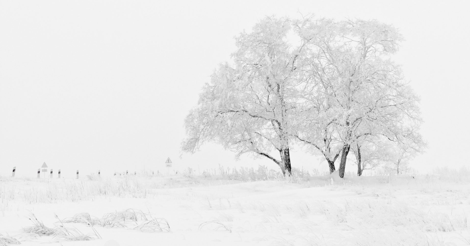 Snow