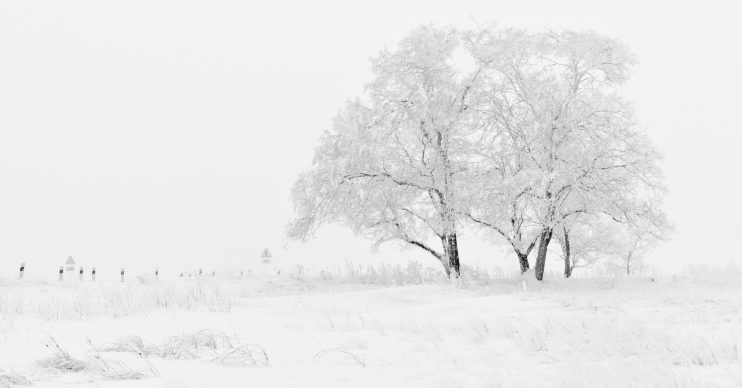 Snow