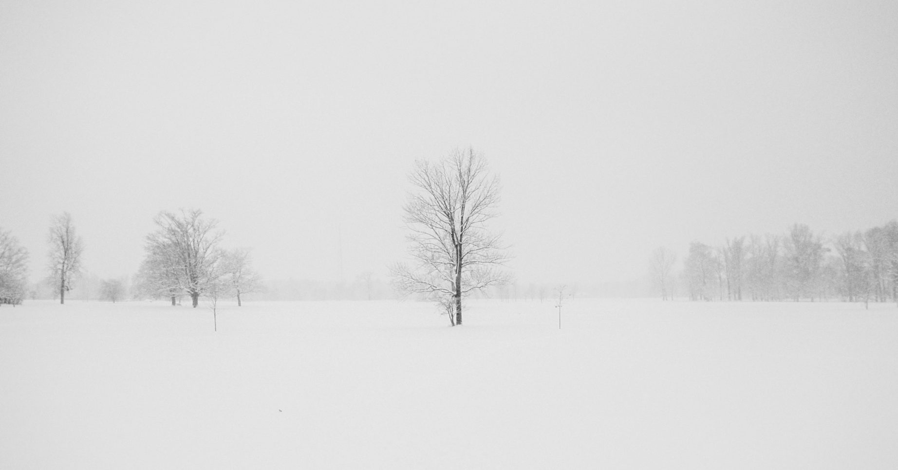 Snow photo