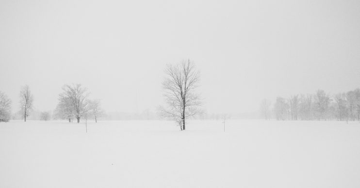 Snow photo