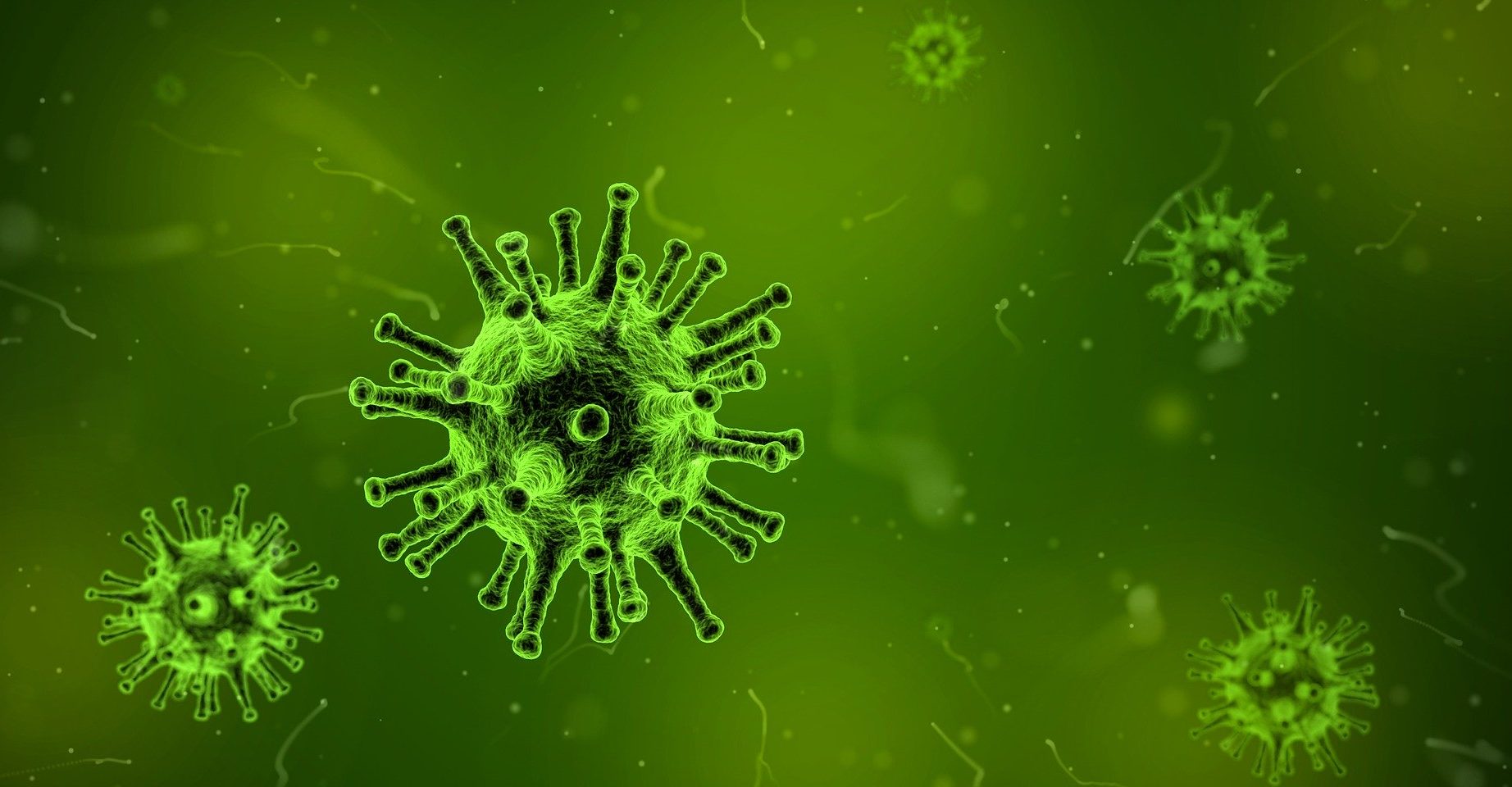 Coronavirus