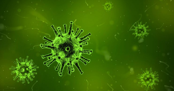 Coronavirus