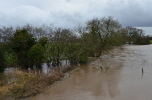 Flooding in Cheshire