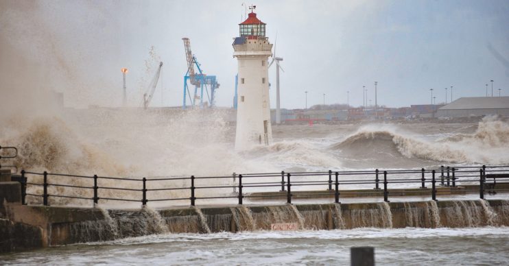 Storm