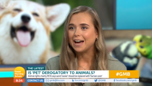 GMB guest