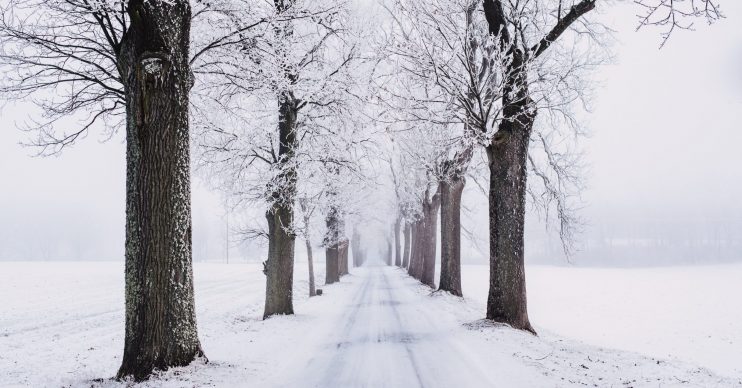Snow