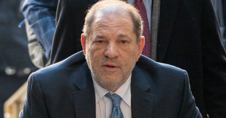 Harvey Weinstein
