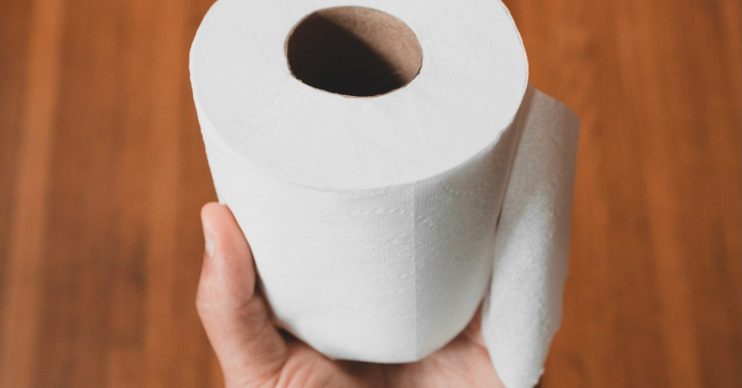 toilet paper coronavirus