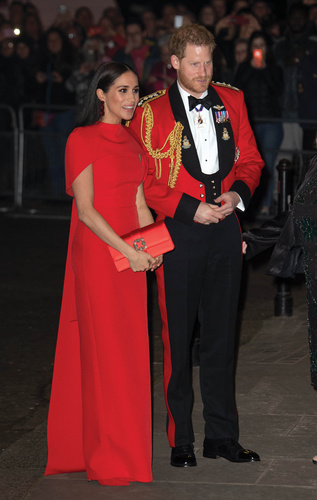 Meghan and Harry have been winding down their royal duties (Credit: Splash News)