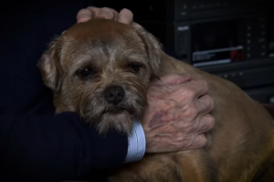 Vet responds to Eccles death blunder in Coronation Street