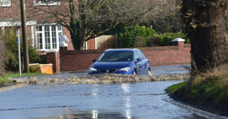 Splash News