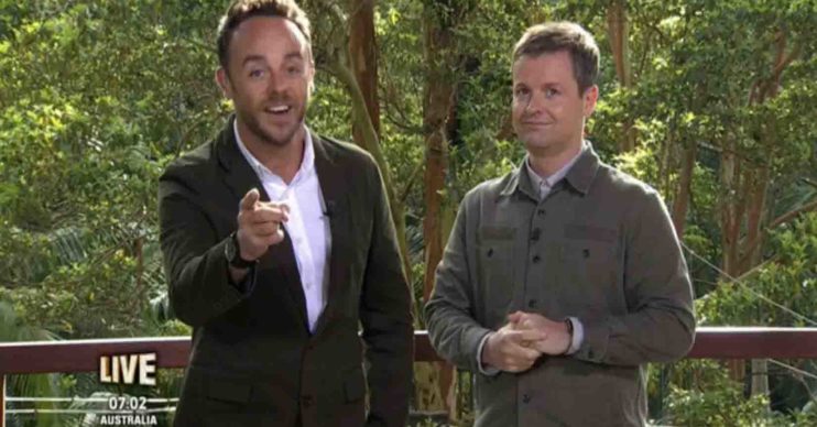 Ant and Dec I'm A Celebrity location