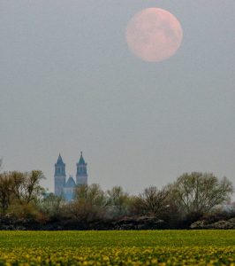 A Super Pink Moon will rise above the UK tonight (Credit: Cover Images)