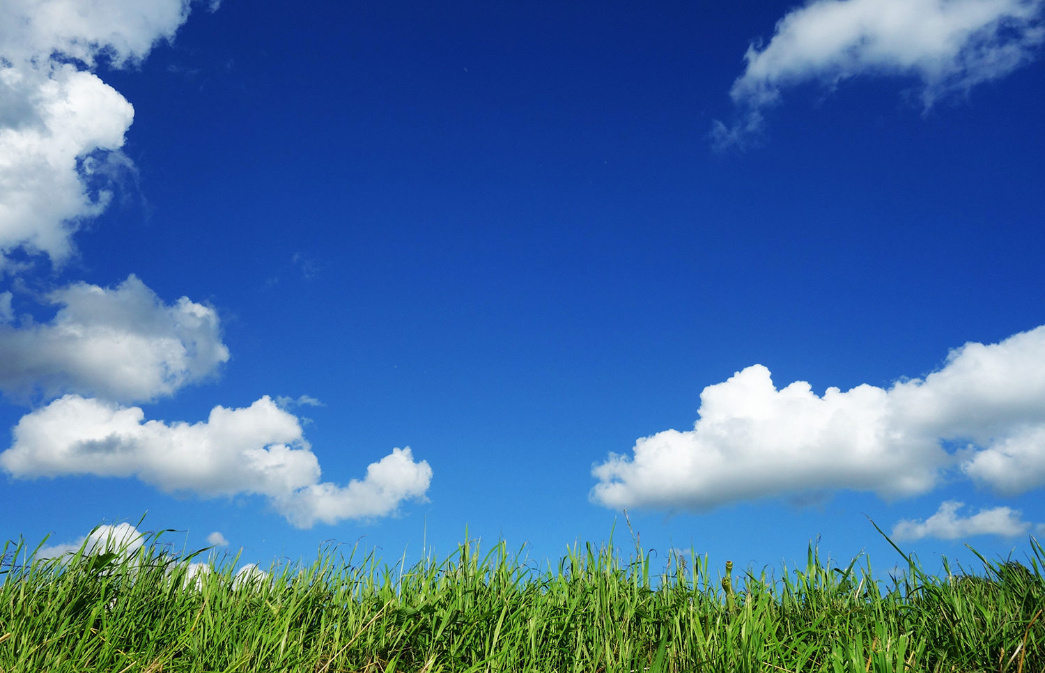 Sunny/hotter day warm weather UK