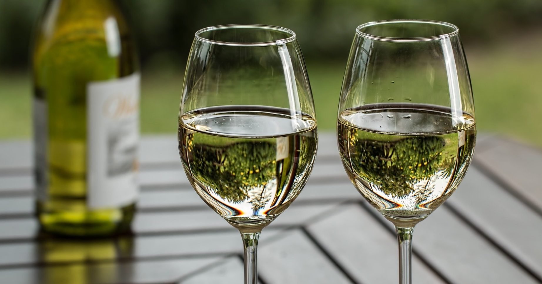 sauvignon blanc