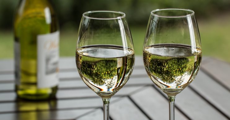 sauvignon blanc