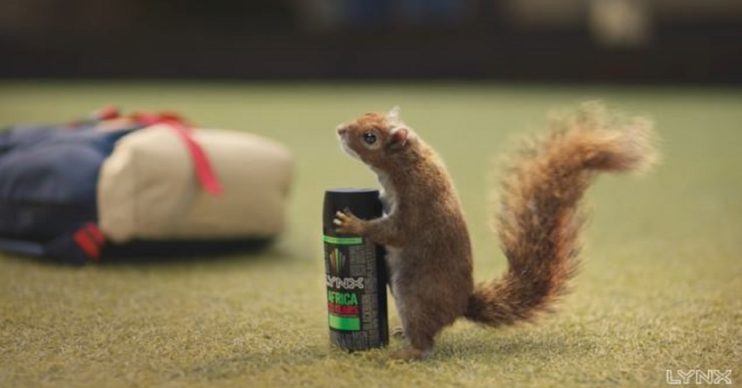 Lynx Africa advert