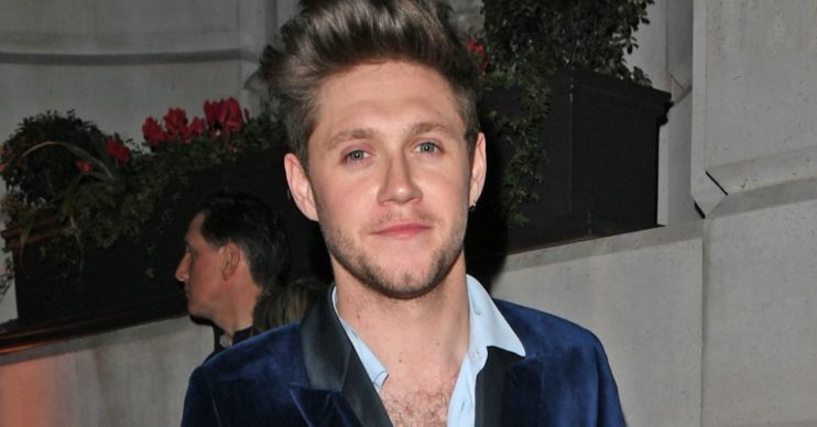 Niall Horan