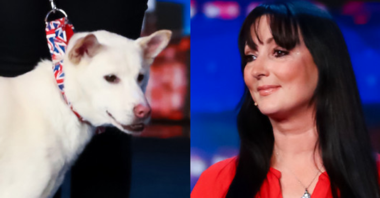 BGT Miracle Amanda