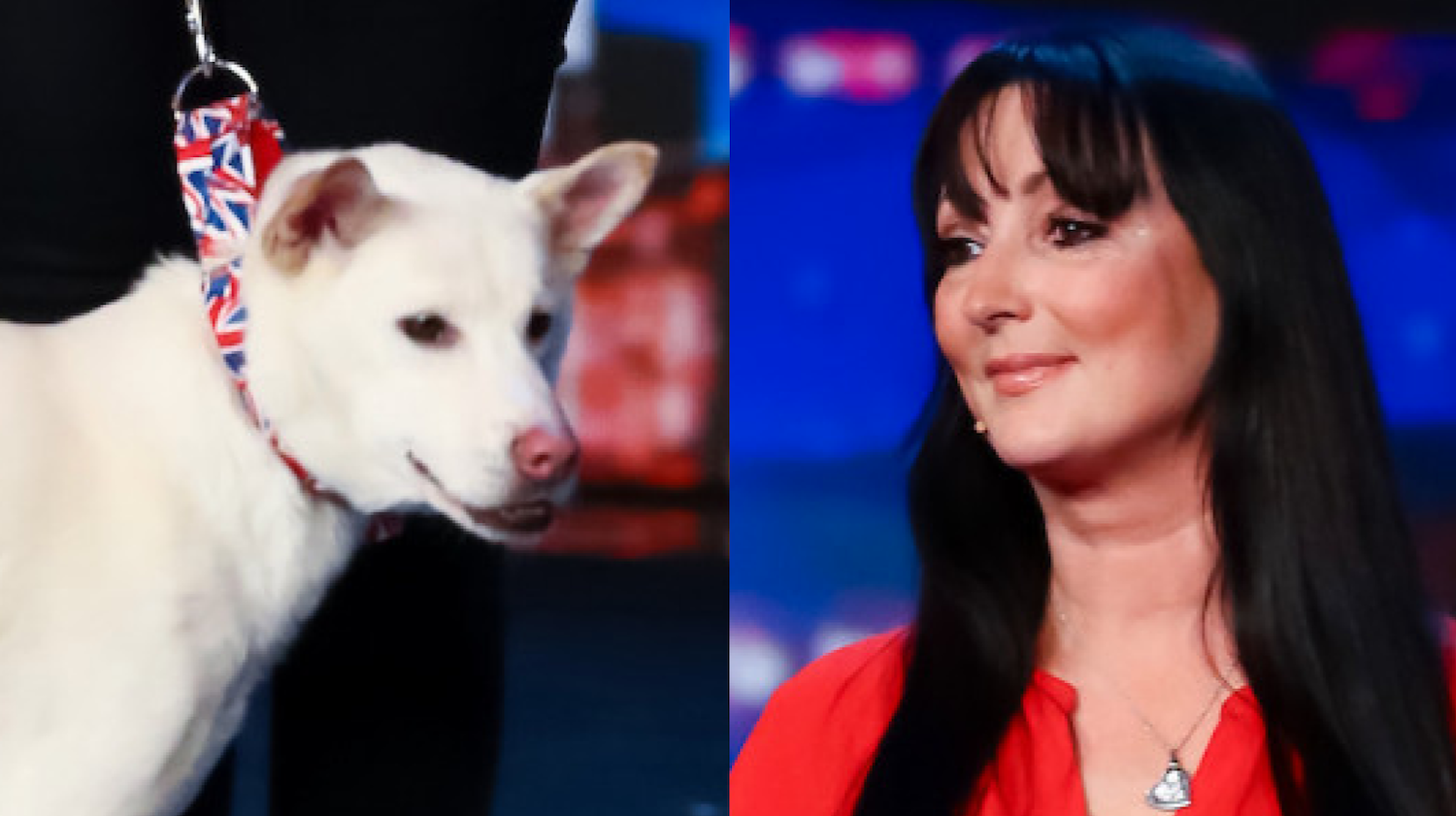 BGT Miracle Amanda