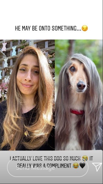 Stacey Solomon compared to an Afghan hound