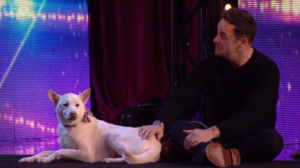 Ant with dog