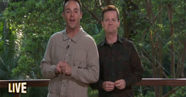 Ant and Dec on I'm A Celebrity