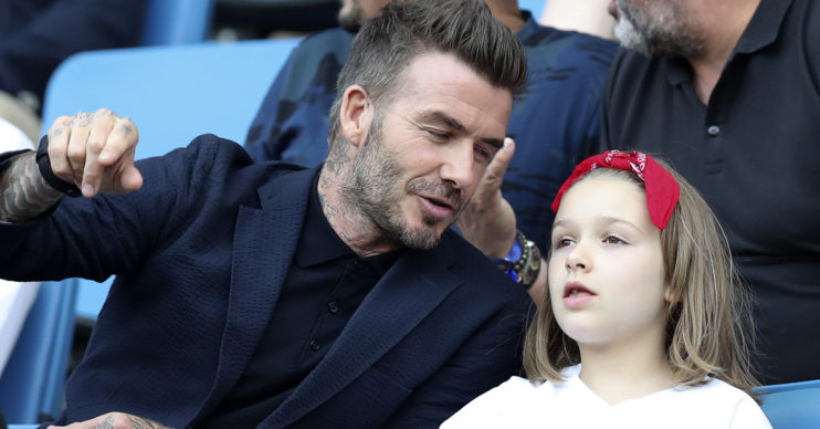 david beckham harper beckham