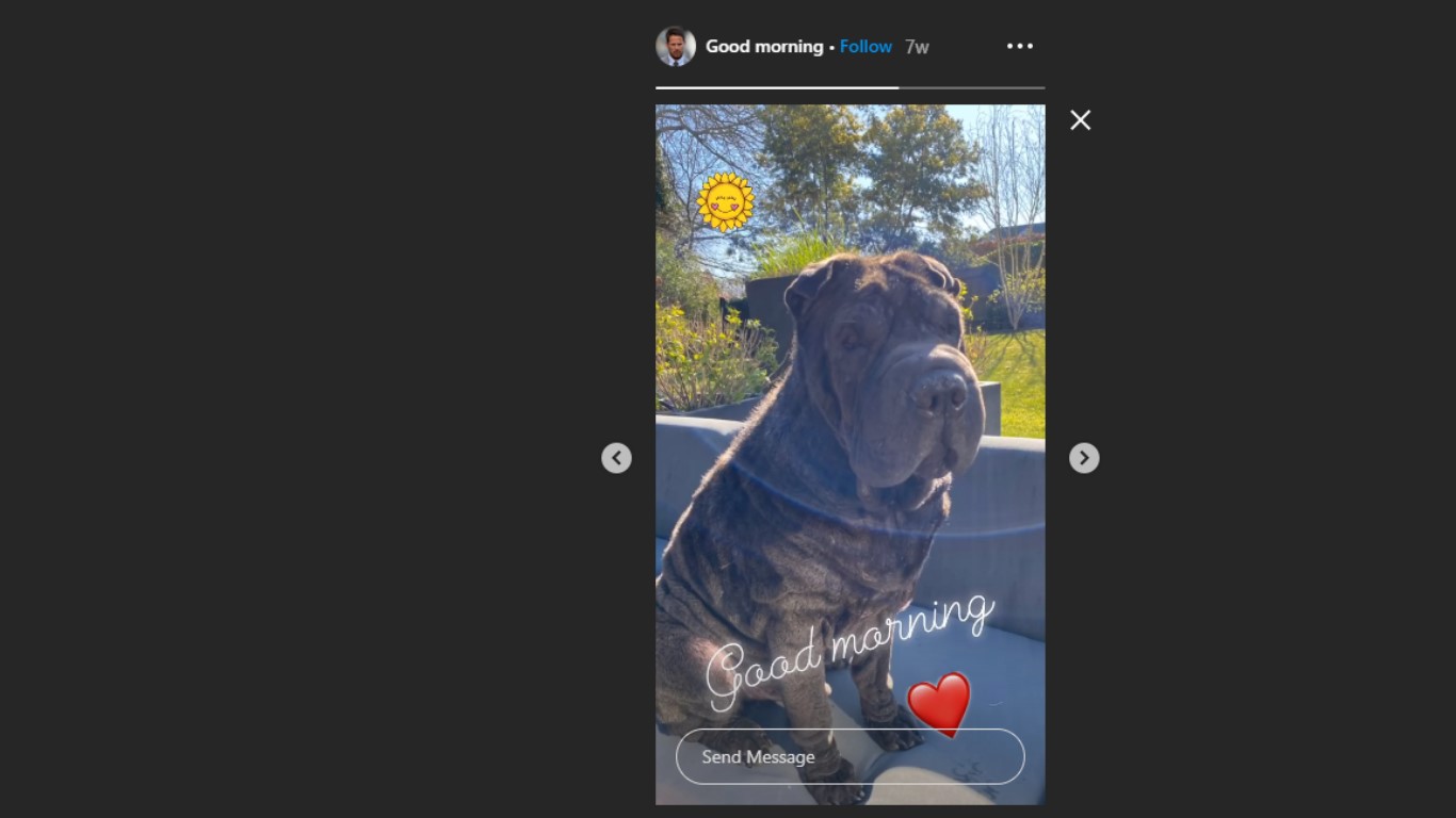 Jamie has shared a cute pic of his dog on Instagram (Credit: Jamie Redknapp/Instagram)