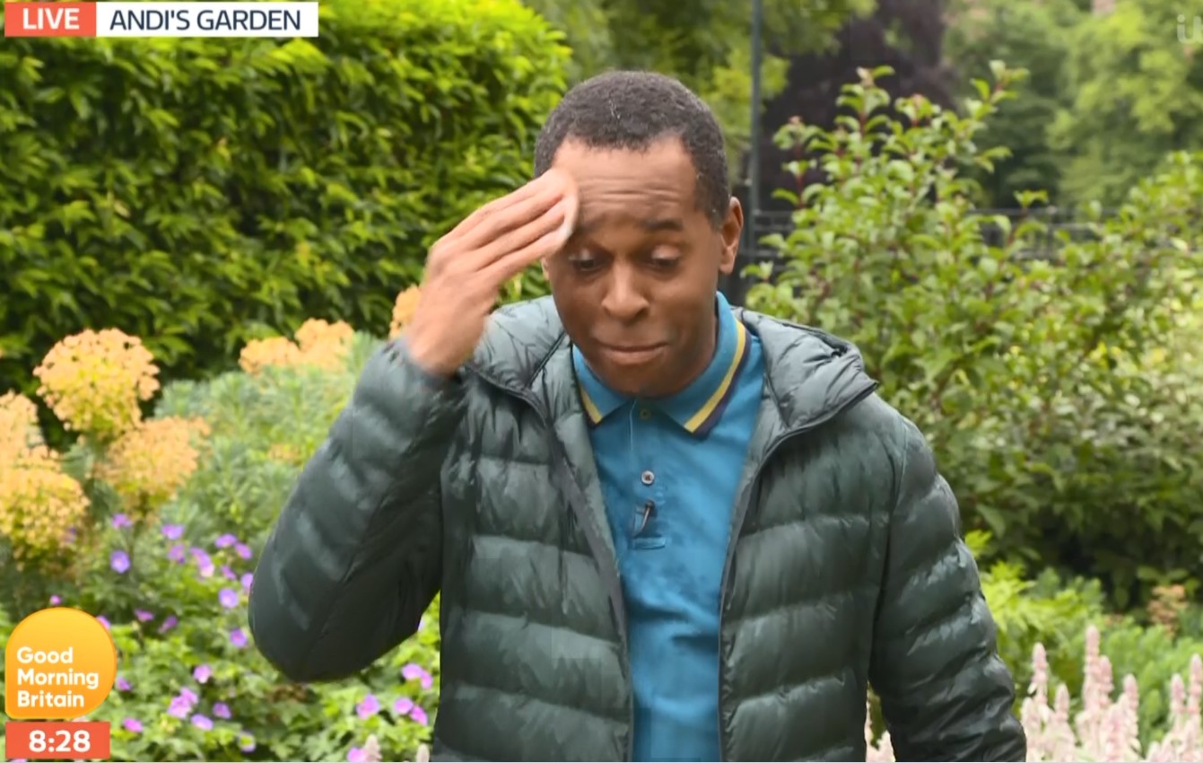 Andi Peters